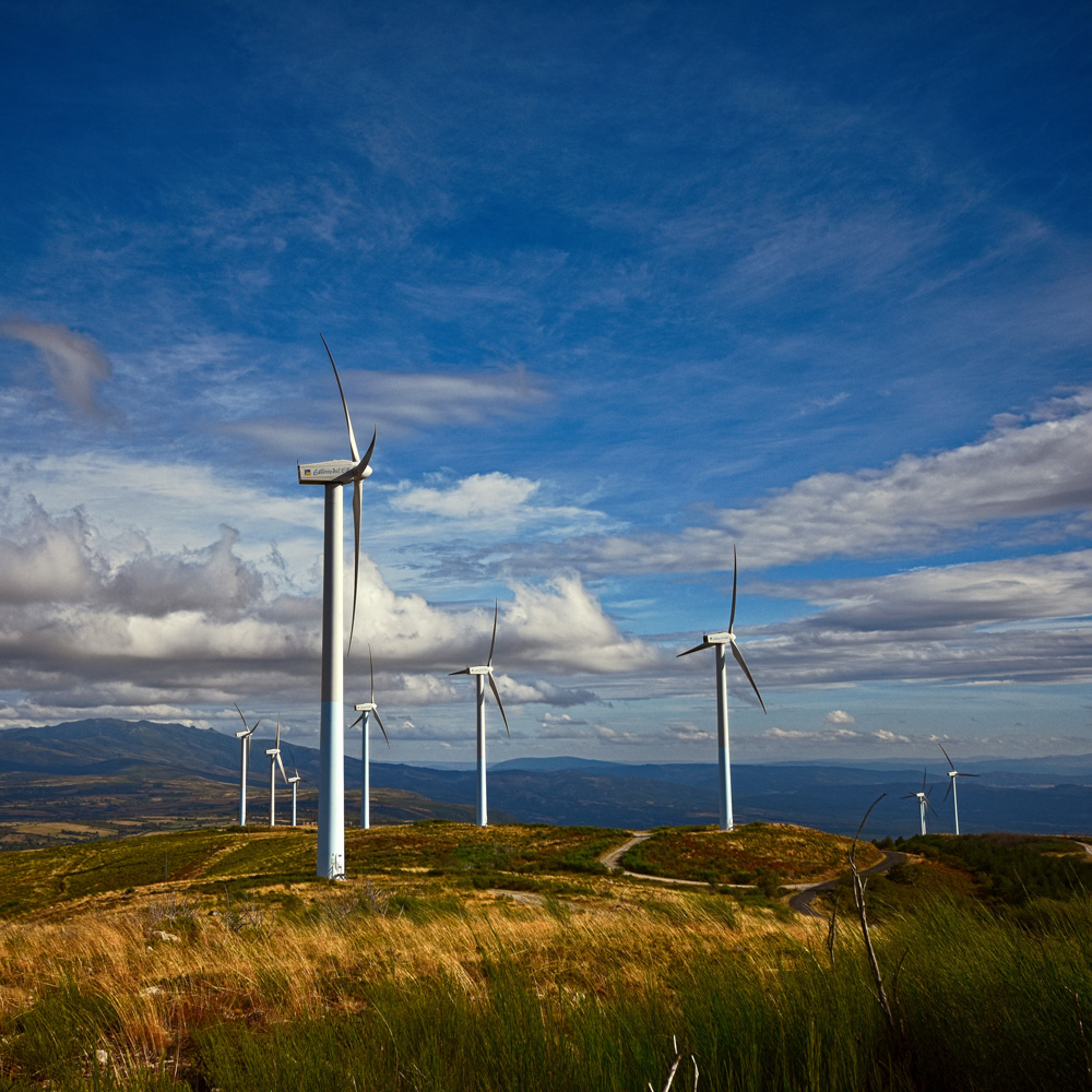 Prevención de Riesgos Laborales en el Proyecto Goya