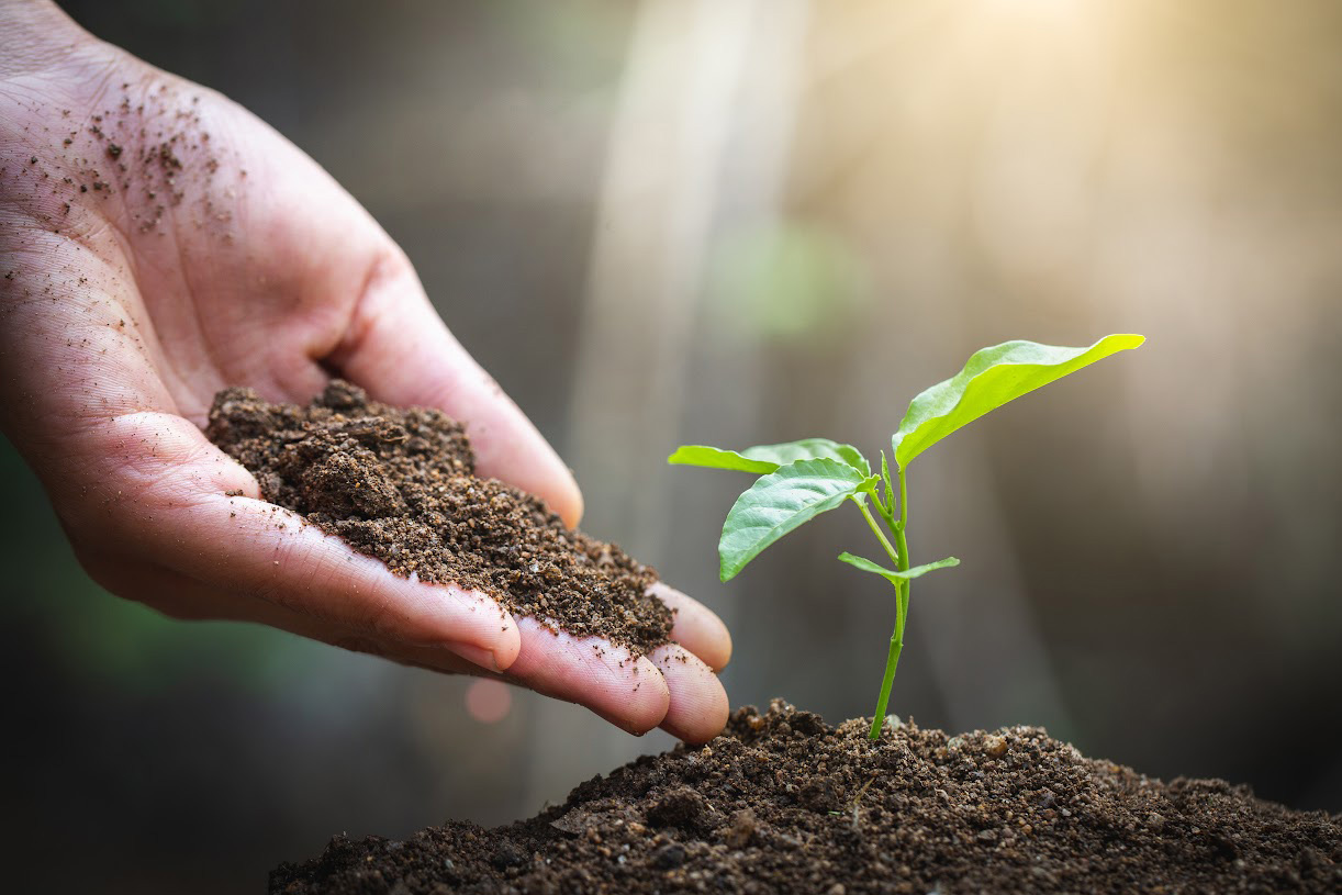La sostenibilidad: un compromiso necesario para el futuro del planeta