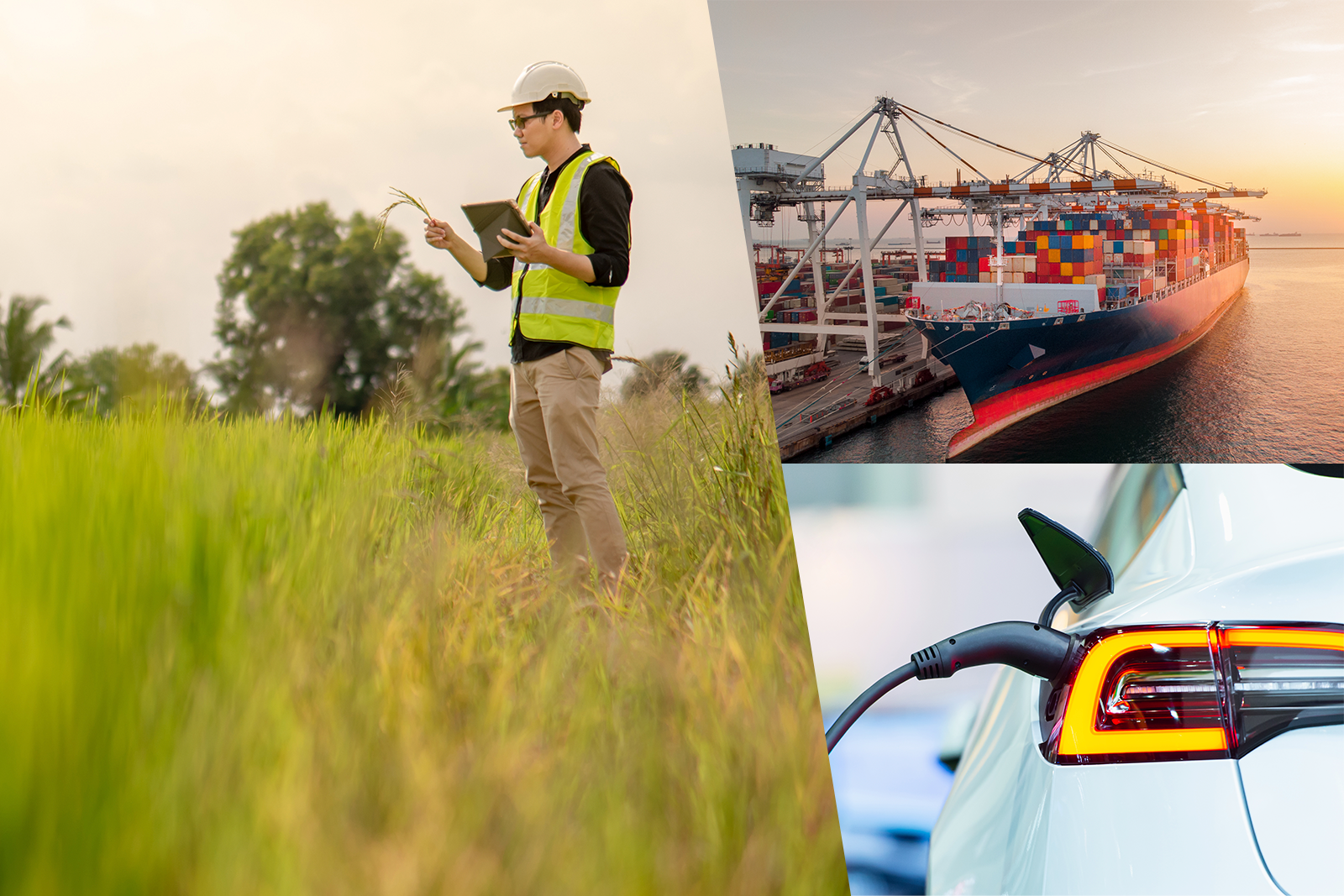 OCA GLOBAL accredited by ENAC for the preparation of Execution Reports for PERTE VEC I, AGRO I, and NAVAL aid programs